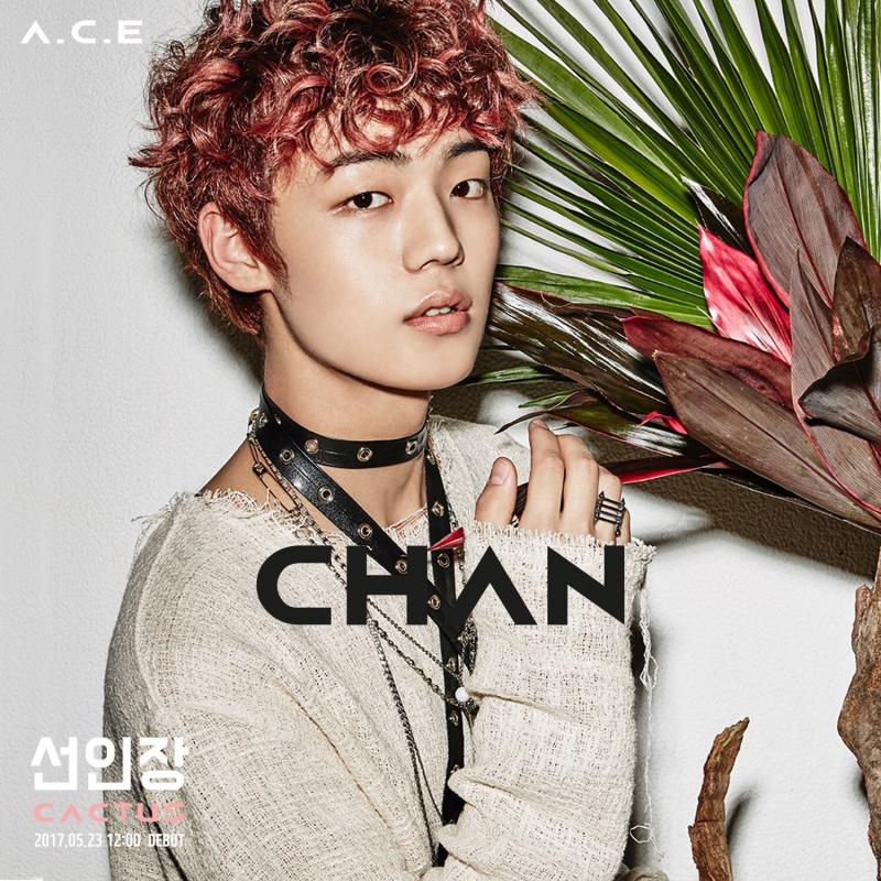 Chan ACE 2017