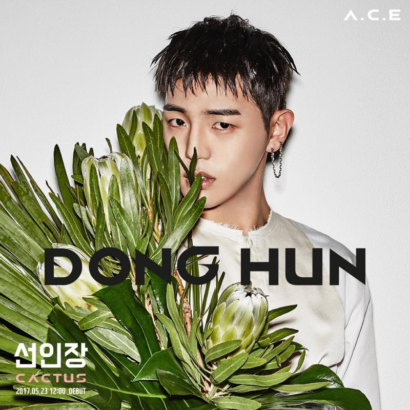 Donghun ACE 2017