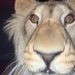 19460133e03f77fdf6b8cc0416abc481.jpg 19460133e03f77fdf6b8cc0416abc481.jpg