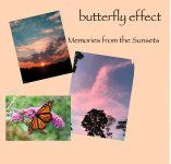 1754979723373.jpeg 1754979723373.jpeg