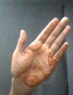 WIN_20250831_04_02_42_Pro.jpg WIN_20250831_04_02_42_Pro.jpg