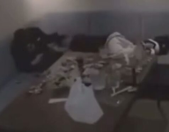 1758982240115.png 1758982240115.png