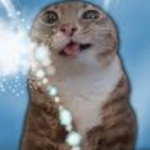 Screenshot 2025-09-29 1.53.46 PM.png