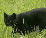 Screenshot 2025-10-06 at 6.23.21 PM.png