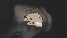 Untitled Project (16).jpg