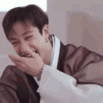 skz-stray (1).gif