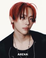 shadow the hedgehog ahh nicholas.jpeg