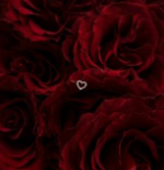 Screenshot 2025-12-06 2.07.34 PM.png