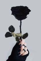 Screenshot 2025-12-06 2.14.19 PM.png