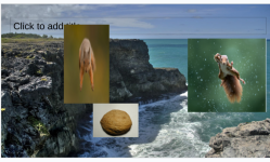 Screenshot 2025-12-13 10.51.15 PM.png