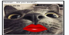 Screenshot 2025-12-17 10.05.51 PM.png