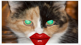 Screenshot 2025-12-17 10.05.15 PM.png