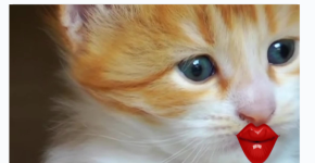 Screenshot 2025-12-17 10.05.24 PM.png