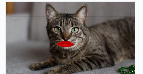 Screenshot 2025-12-17 10.05.28 PM.png