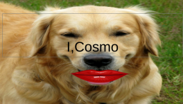 Screenshot 2025-12-13 10.48.34 PM.png