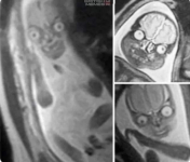 Screenshot 2025-04-04 1.10.59 PM.png