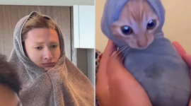 Screenshot 2025-12-28 8.11.54 PM.png