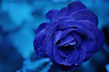 1767632639881.png 1767632639881.png