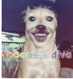 Screenshot 2026-01-08 at 12.14.07 AM.png