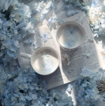 Screenshot 2026-01-11 9.46.53 PM.png