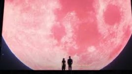 images - 2026-01-18T112055.853.jpeg