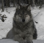 Screenshot 2026-02-17 21.55.10.png