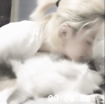 Screenshot 2026-02-19 08.27.16.png