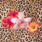 images (56).jpeg images (56).jpeg