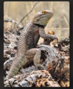 Screenshot 2026-02-23 6.57.18 PM.png