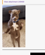 Screenshot 2026-02-24 9.35.05 PM.png Screenshot 2026-02-24 9.35.05 PM.png