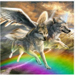 Screenshot 2026-02-25 6.45.24 PM.png