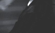 ezgif.com-optimize (1).gif