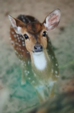 Screenshot 2026-02-25 11.10.51 PM.png