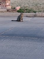 1000002460.jpg 1000002460.jpg