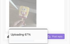 IMG_9041.jpeg IMG_9041.jpeg