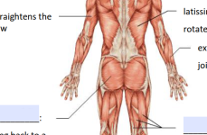 Screenshot 2026-02-26 11.05.53 PM.png