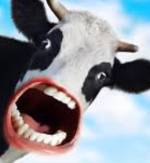 Screenshot 2026-03-10 1.41.31 PM.png