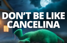 Screenshot 2026-02-27 11.09.33 AM.png