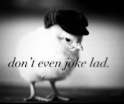 1773586114304.png