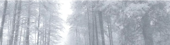 Screenshot 2026-03-16 112743.png