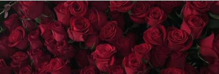 Screenshot 2026-03-20 21.10.16.png