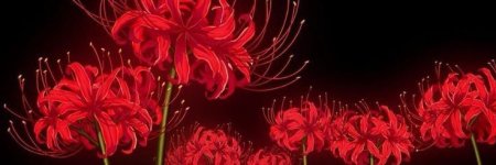 _ (9).jpeg _ (9).jpeg