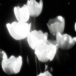 _ (13).jpeg _ (13).jpeg