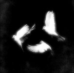 ✶⋆_˚.jpeg ✶⋆_˚.jpeg