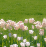 1774119291547.png 1774119291547.png