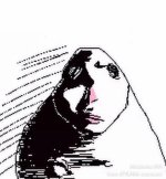 he watching.jpg he watching.jpg