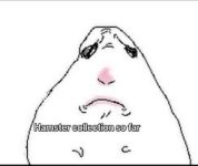 Hamster Drawing Memes | TikTok