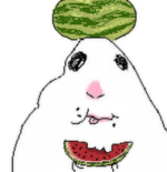 Screenshot 2026-03-26 10.29.18 AM.png