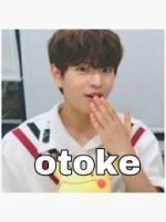 SKZ Seungmin MeMe (otoke) Sticker for ...