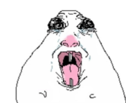 Screenshot 2026-03-26 8.37.58 AM.png